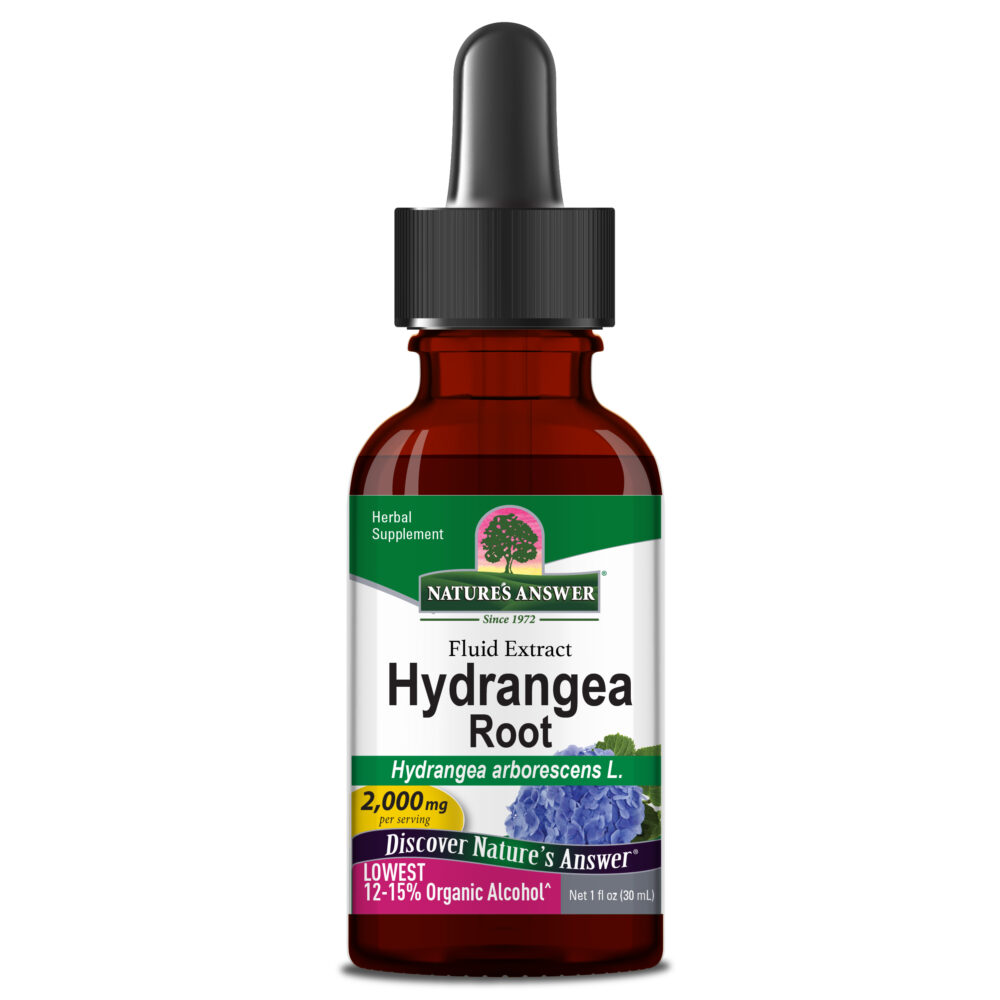 hydrangea-root-1-oz