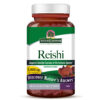 16425 Reishi 60 Caps High Res Vector Bottle