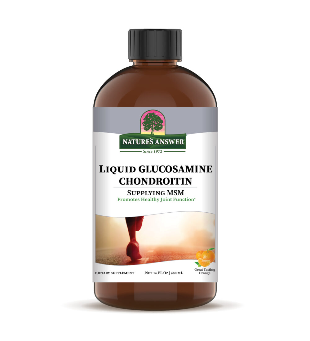 26155 Liquid Glucosamine and Chondroitin 16 Oz. High Res Vector Bottle