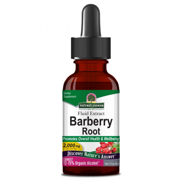barberry-root-berberis-vulgaris-1oz