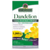 Dandelion Root 90 Veggie Capsules - Image 3