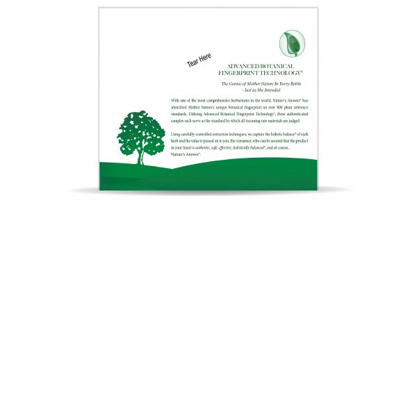 Green Tea Energy Shot 2oz Buy a 12Pack Green Tea Shot 2oz Nature's Answer