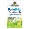 PerioBrite Dry Mouth Lozenges 100 Count - Image 3