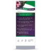 Sambucus Immune 4oz Box