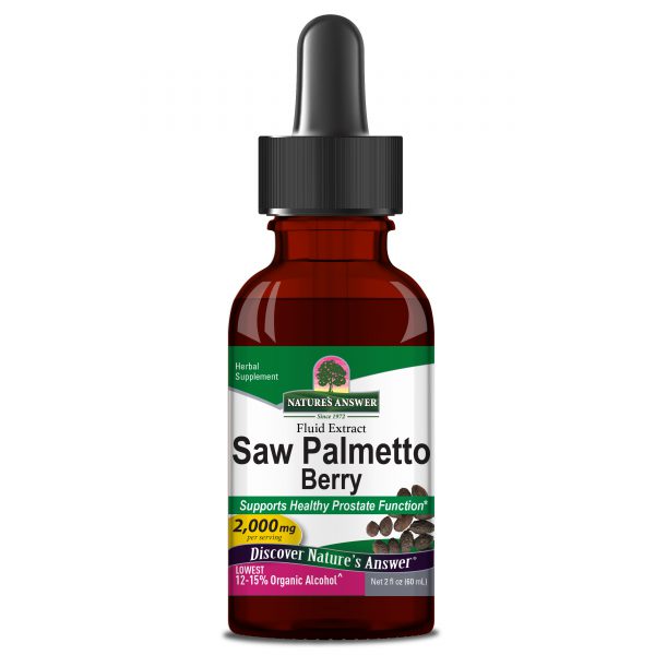 Saw Palmetto 9292A High Res