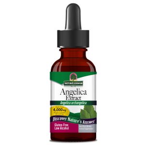 Angelica Liquid Extract 1oz Low Alcohol