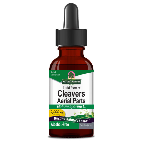 cleavers-herb