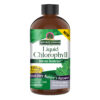 Liquid-Chlorophyll-160z
