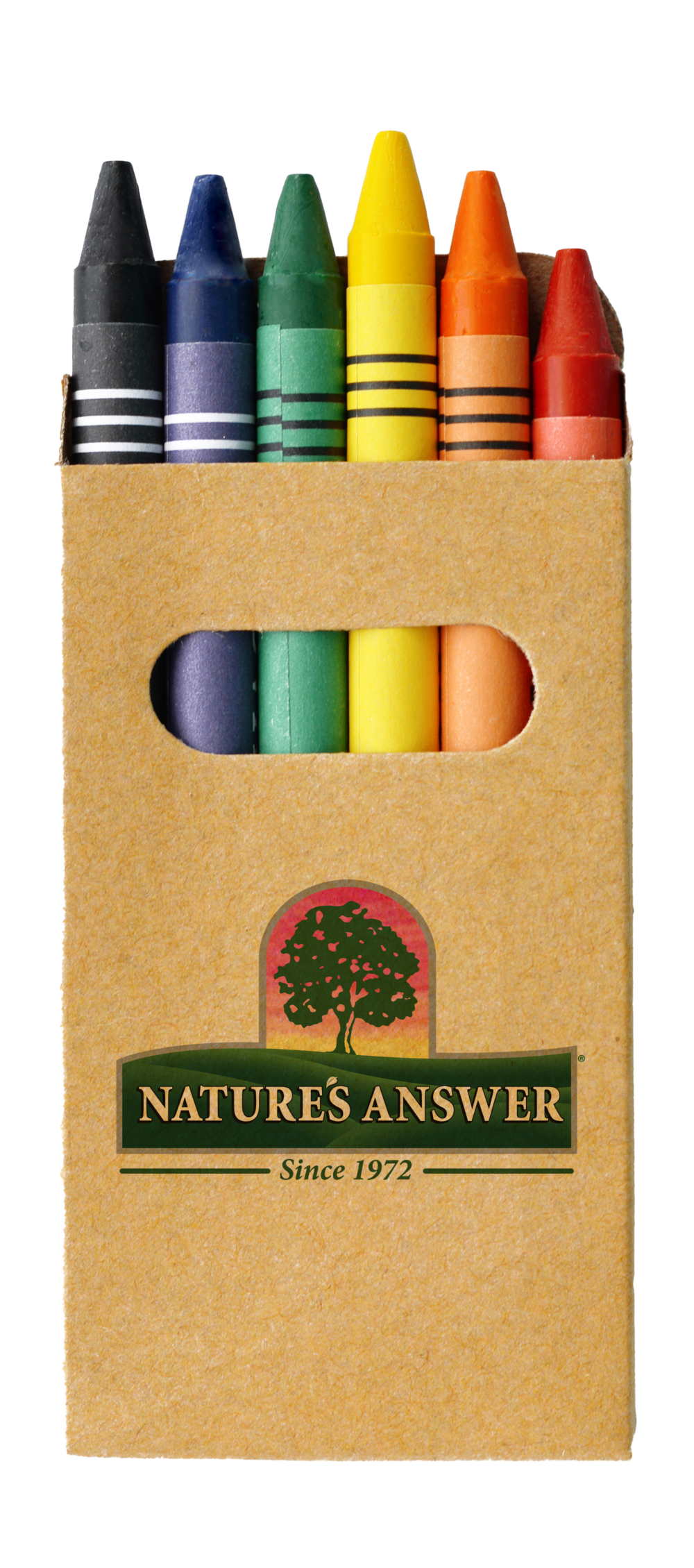 Coloring Book & Crayons - Image 3