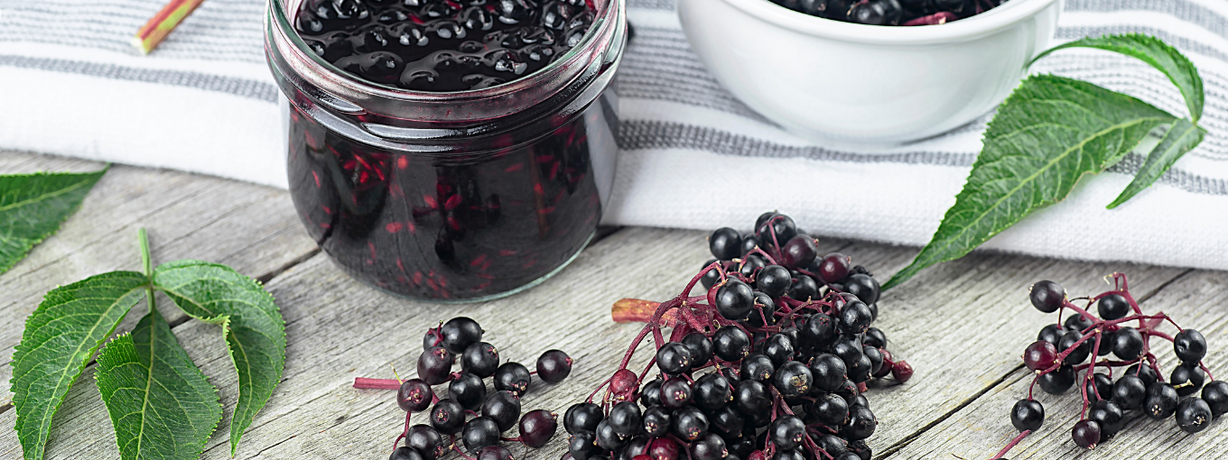 how much elderberry for immune support